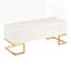Luxueux banc de rangement en velours et en acier avec un design capitonné, parfait pour la décoration moderne et les sièges supplémentaires.-2121321291