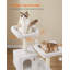 Tour à chat pour chats d'intérieur-1066574690