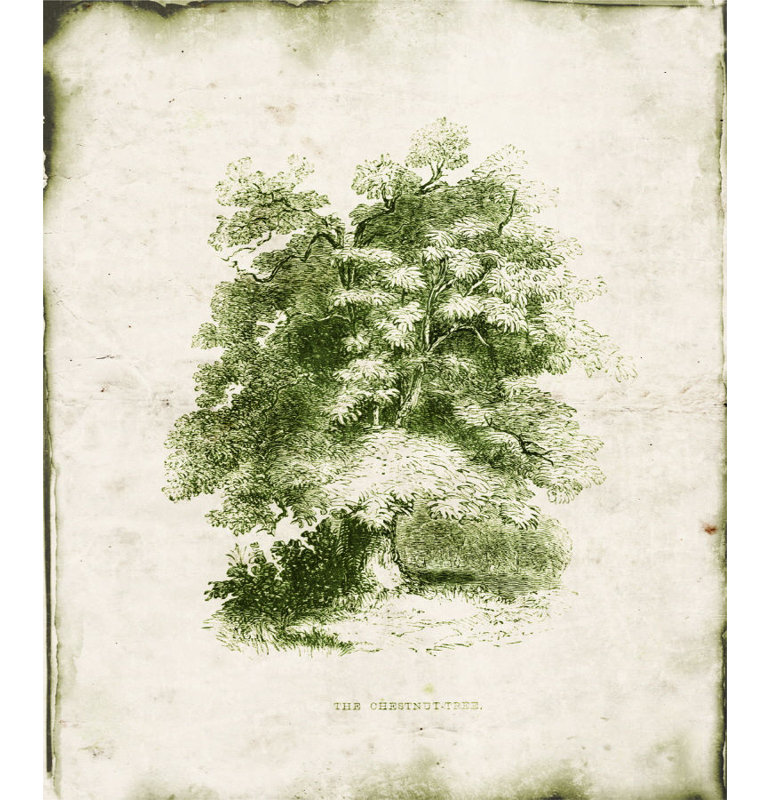 «Evergreen VI» par Zoey Riley - Peinture, H 29 po x l 24 po x P 1,5 po, Couche de verre
