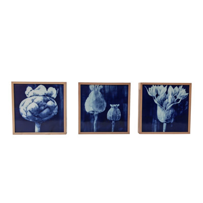 PLANTS & FLOWERS Print