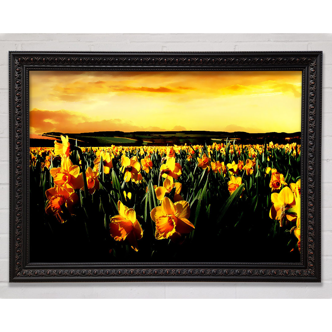 Field Of Silveren Daffodils - Einzelner Bilderrahmen Kunstdrucke