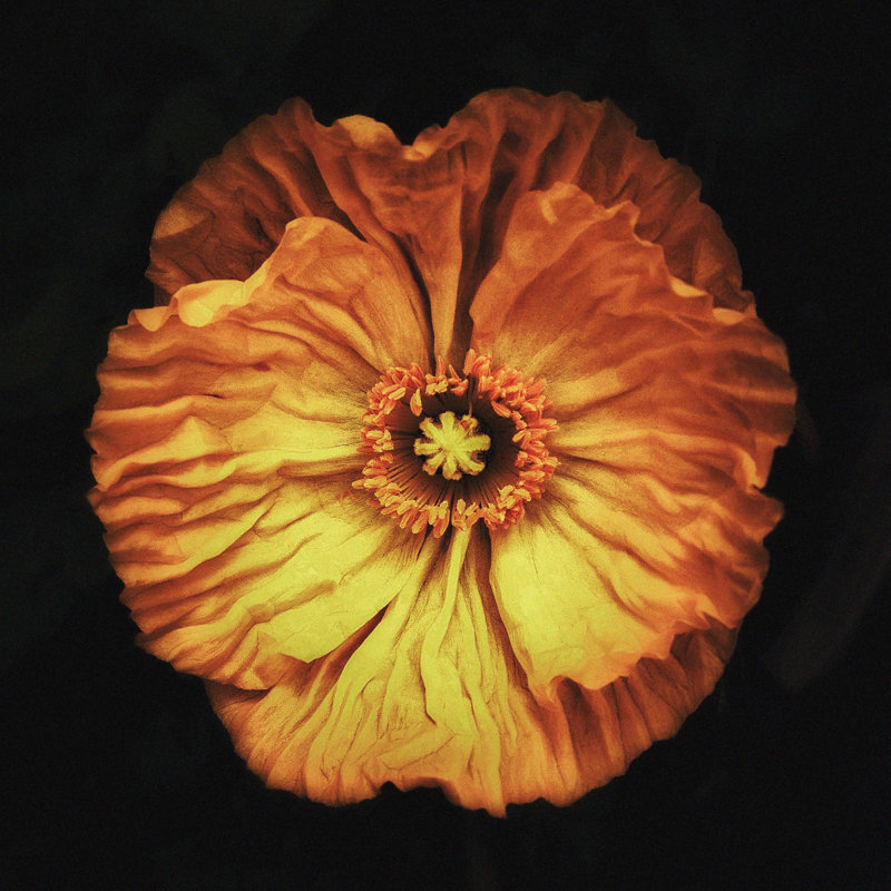 Wonderful Life 006 - No Frame Square Print on Glass