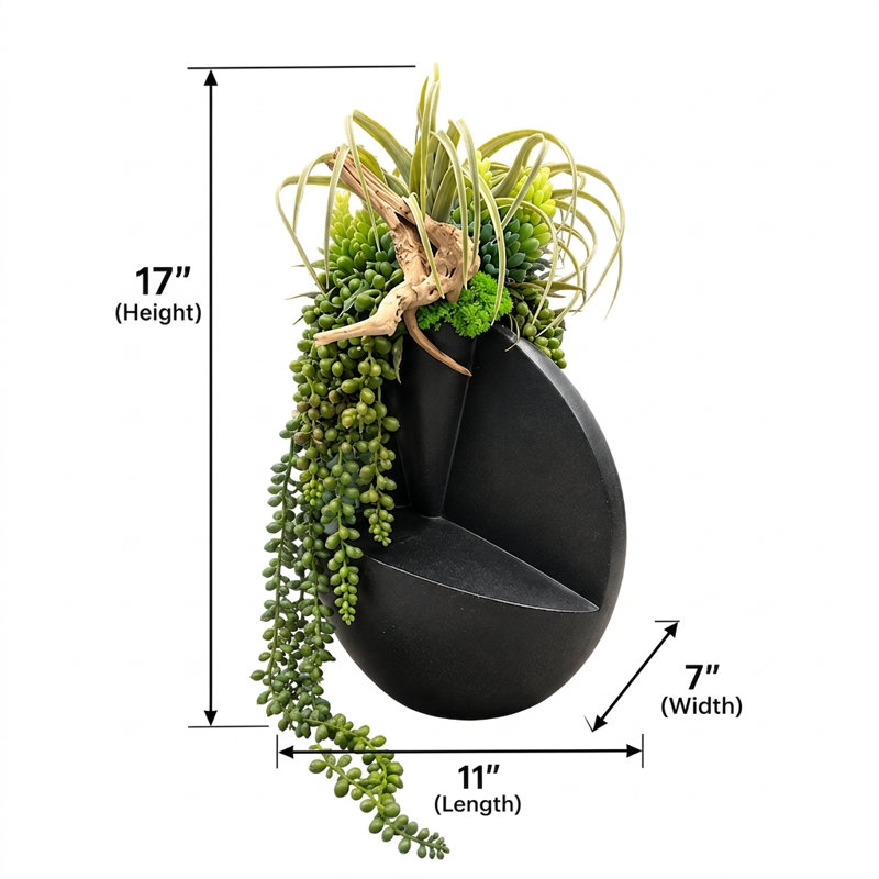 Arrangement de minuit succulent Midnight Elegance | Vase en métal noir, centre de table contemporain