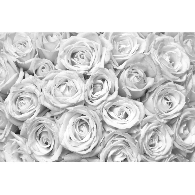 Black and White Roses - Photographie sur toile tendue, H 24 po x l 36 po