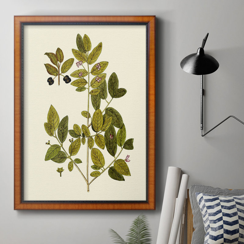 Olive Greenery VII, toile encadrée de qualité supérieure - prête à être accrochée, H 20 po x l 16 po