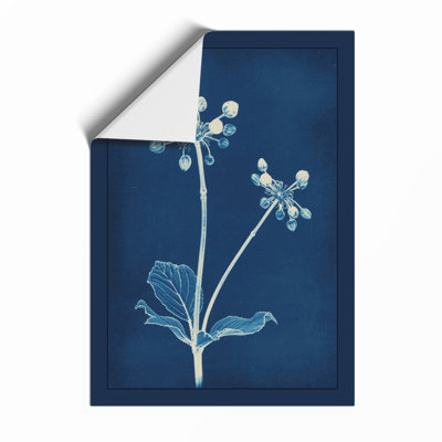 Study in Blue Botanical - Framed Print