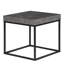 Hodgin Frame End Table