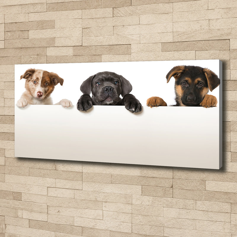 Three Puppies - Print, 50cm H x 125cm W x 2cm D, Canvas