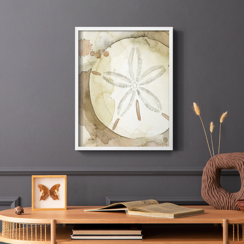 Dry Sand Dollar II, reproduction encadrée - bois massif, Blanc, H 14 po x l 11 po