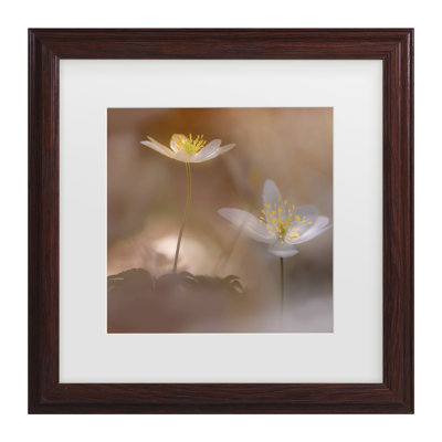 Ylva Sjogren  Freshness Matted Framed Art