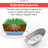 Pot Planter-88313603