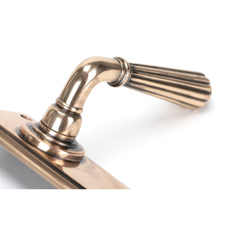 Hinton Bathroom Door Handle Kit, Polished Bronze