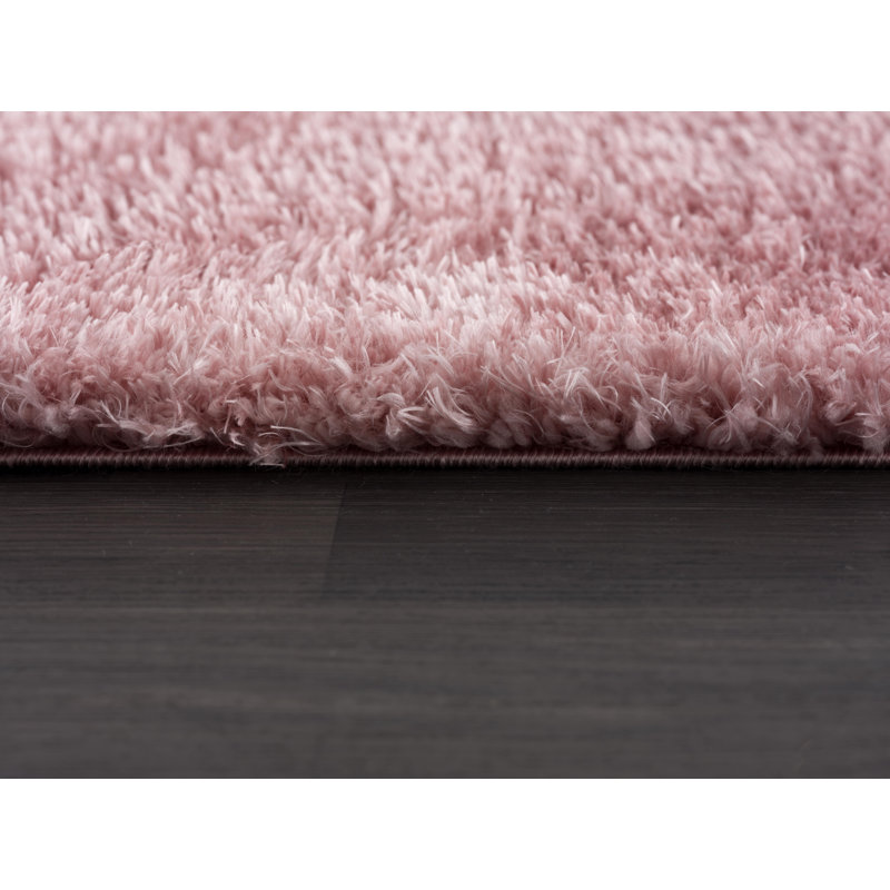Tapis rose Julia, Rectangle 8 pi x 10 pi