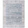 Chantae Valencia Performance Oriental Rug