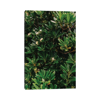 Amalfi Coast Blooms II 1 Piece Wall Art on Canvas