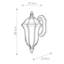 Carranza 4 - Light Outdoor Pendant