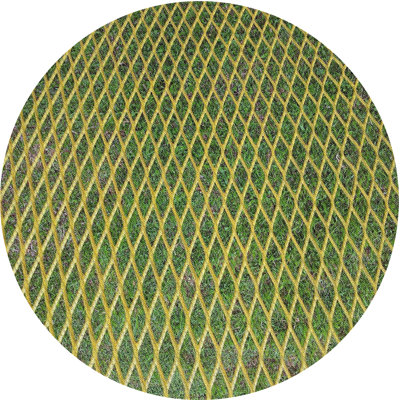 Indoor Rug