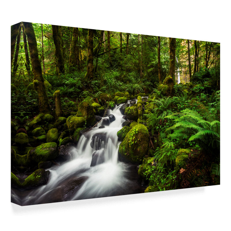 « moment de la nature », reproduction de photo sur toile tendue, H 30 po x l 47 po x P 2 po