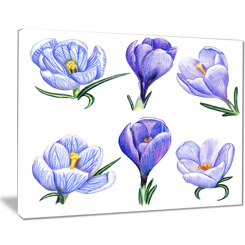 " Hand-drawn Crocuses ", 12" H x 20" W x 1" D