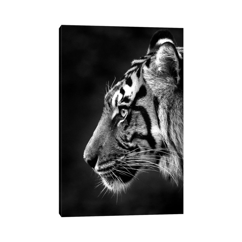 Indrah by David Whelan - Wrapped Canvas Gallery-Wrapped Canvas Giclée, Wrapped Canvas, 12" H x 8" W