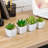 3.25'' Faux Succulent Plant in Ceramic Planter