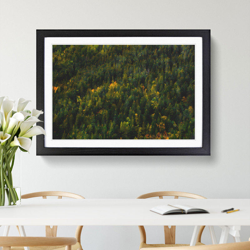 Autumn Forest in Switzerland - Picture Frame Painting Print, Black, 45cm H x 63cm W x 2cm D