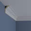 Endurathane Eris Crown Moulding, 3 1/2"H x 2 1/4"P x 4 1/4"F x 94 1/2"L, Factory Primed
