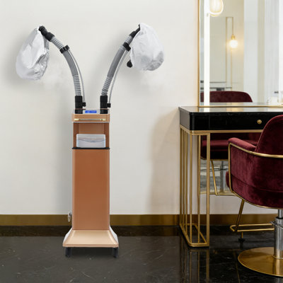 650W Professional Nano Hair Steamer