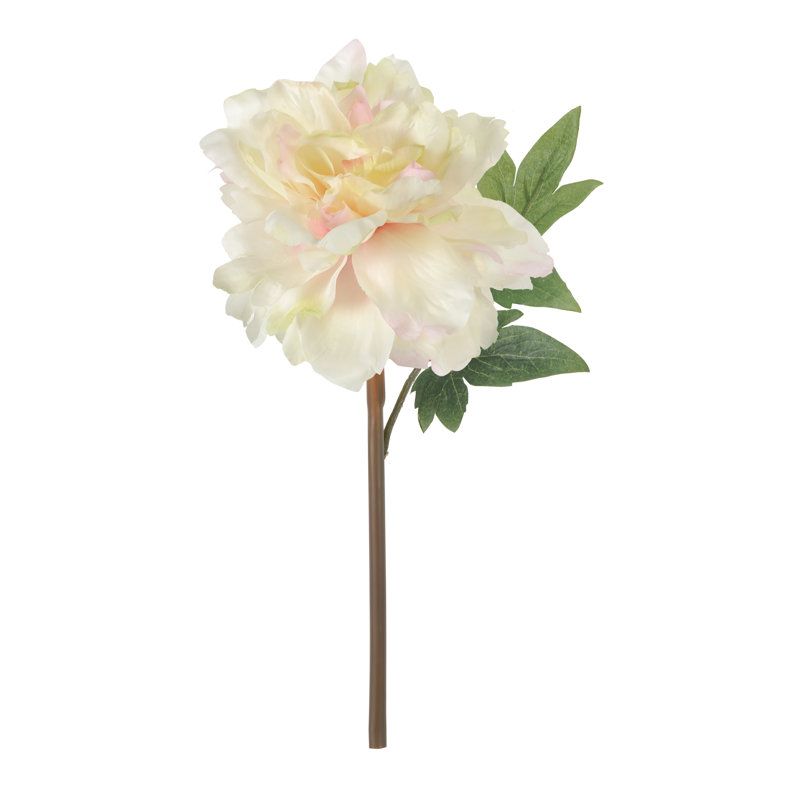 Tige de pivoine House of Hampton®, Crème/Vert, H 14 po x l 3 po x P 3 po