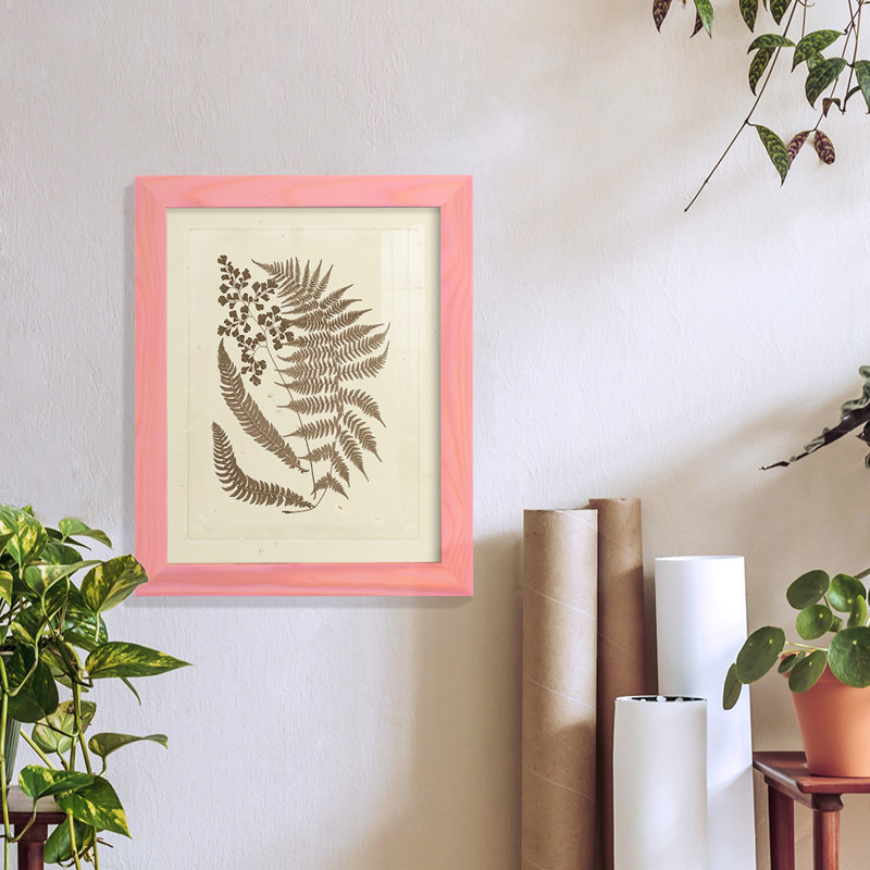 Meggan Sepia Ferns III, reproduction d'art encadrée, L 9 po x H 11 po x P 1 po, Rose