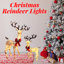 Christmas Deer