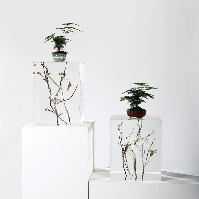 DAINTE Modern Cubic Crystal Pedestal Stand | Luxury Clear Acrylic Display Pedestal with Natural Wood for Home & Office