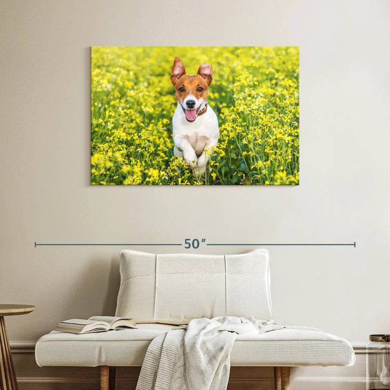 Happy Jack Russell, 26" H x 39" W