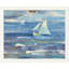 « ocean voile », impression-24087984-24422739-89239133