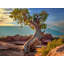 Deadhorse Point Print by Beth Sheridan-65789715-65789716