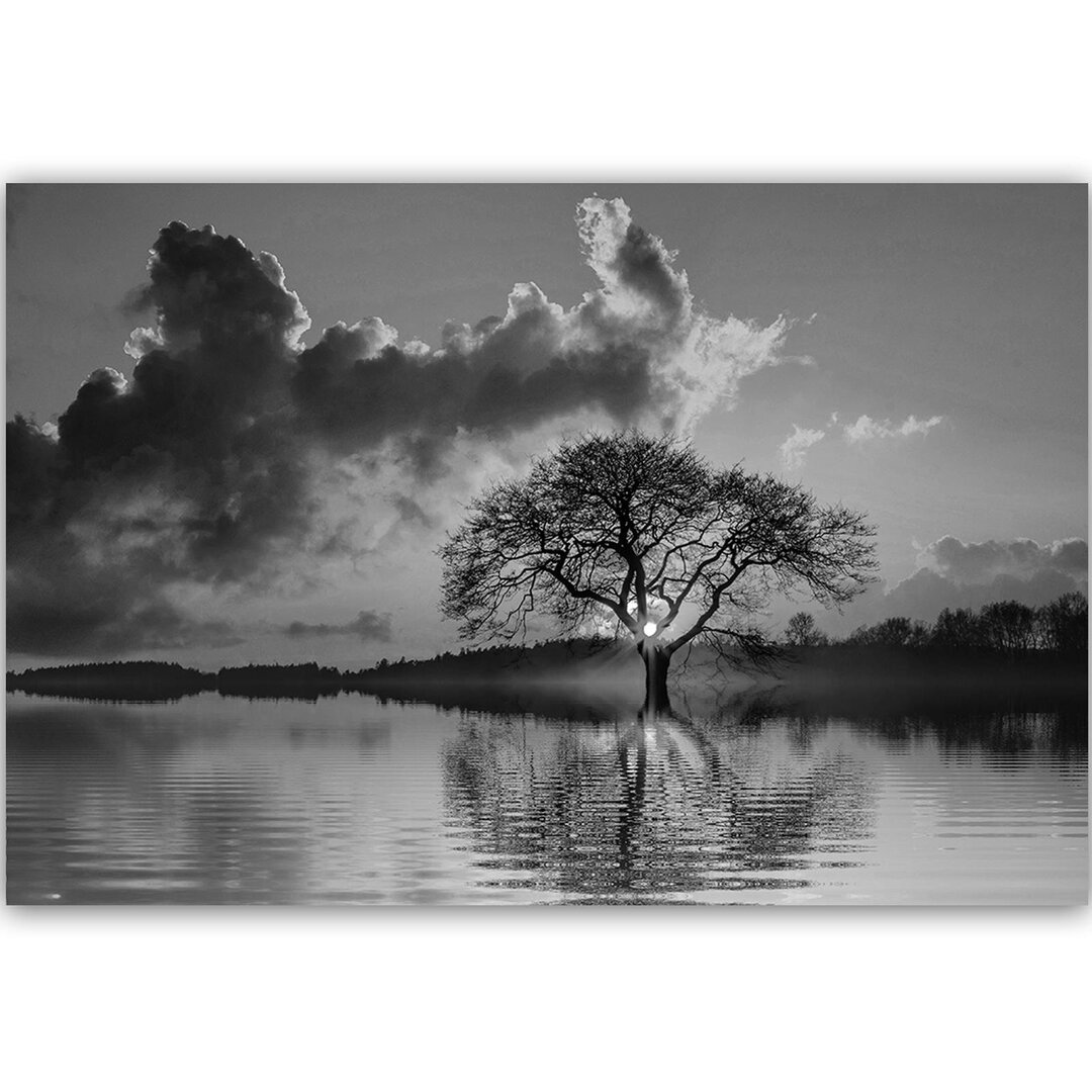 Leinwandbild Blick auf den Baum um 2 Uhr