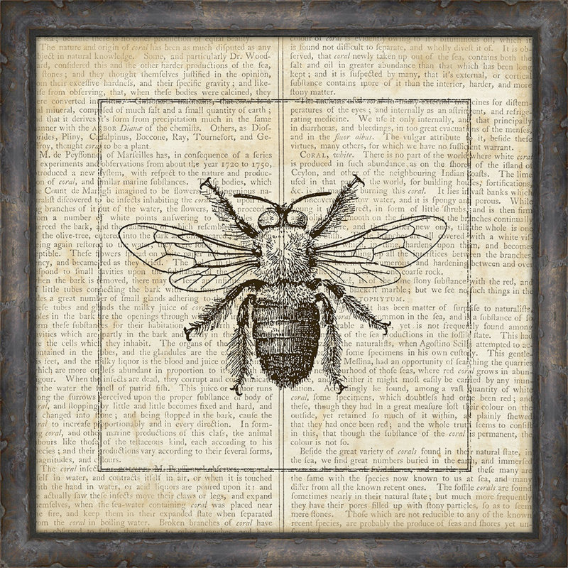 « abeilles on writing ii »-impression sur papier pictrure