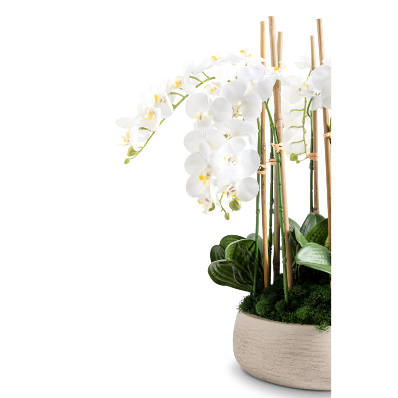 Briar Realtouch Orchid Arrangement
