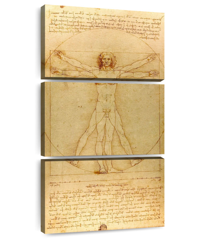 The Vitruvian Man, 52" H x 24" W