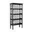 Chippendale Bookcase-17297234