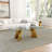 Bangor 51.18” Glass Top Single Coffee Table-1156044908