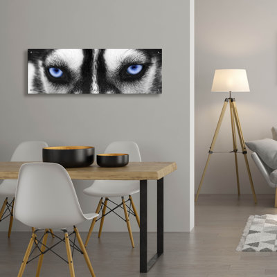 " Husky " by PhotoINC Studio
