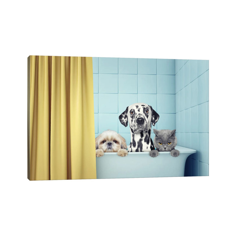 «Two Dogs And Cat In The Bath» par Olga Bilevich - impression sur toile tendue, H 26 po x l 40 po x 1,5 po