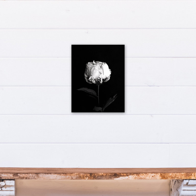 « white rose on black background », reproduction de photo sur toile