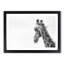 Monochrome Giraffe - Picture Frame Graphic Art Print-55732315-55732313