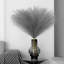 Herbe de 17 po Pampas-2050360857