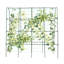 Treillis de jardin pour les plantes grimpantes