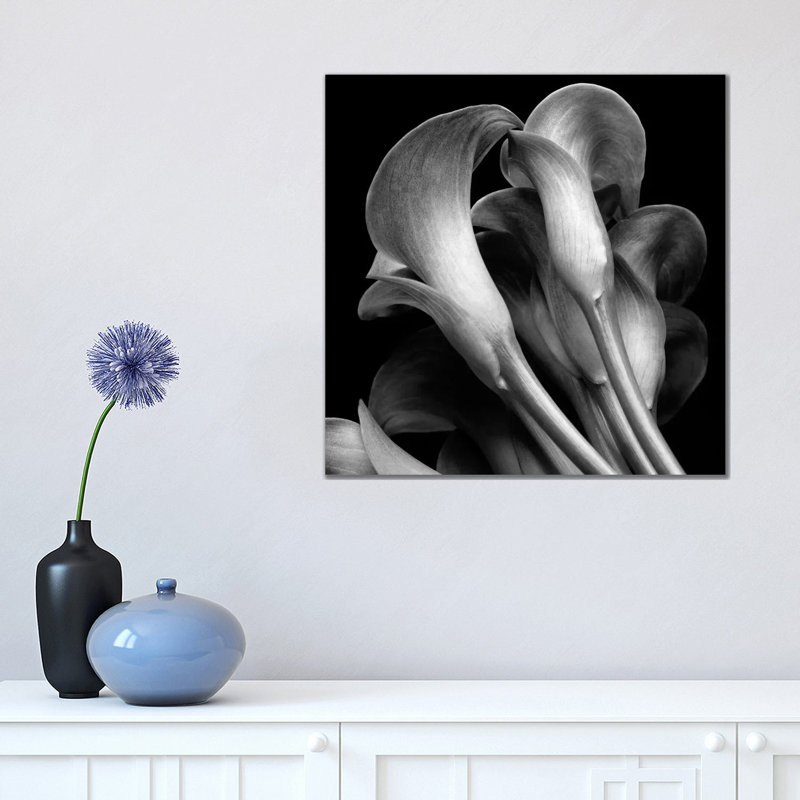 Lillies by Michael Harrison - Wrapped Canvas Print