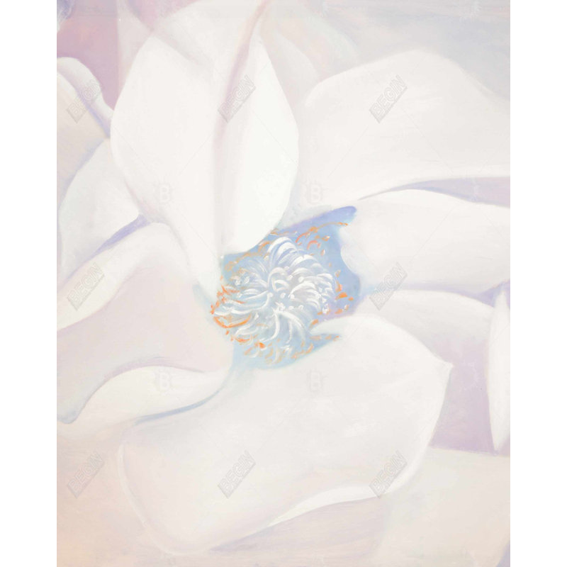 Délicatesse - rose, botanique et floral