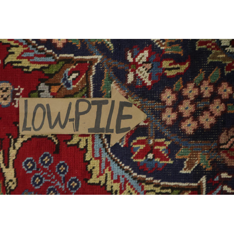 Traditional Area Rug 10x13